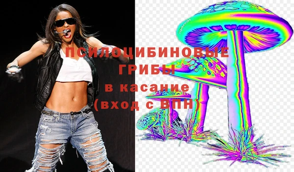 крисы Алексин