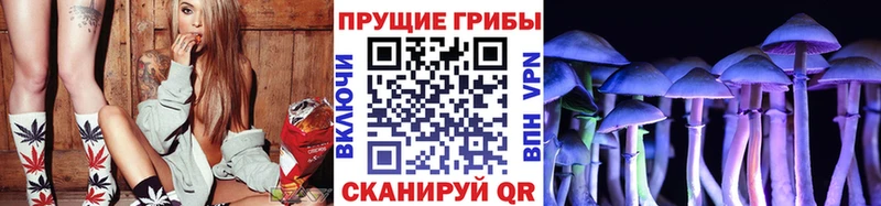 Псилоцибиновые грибы Magic Shrooms Лесосибирск