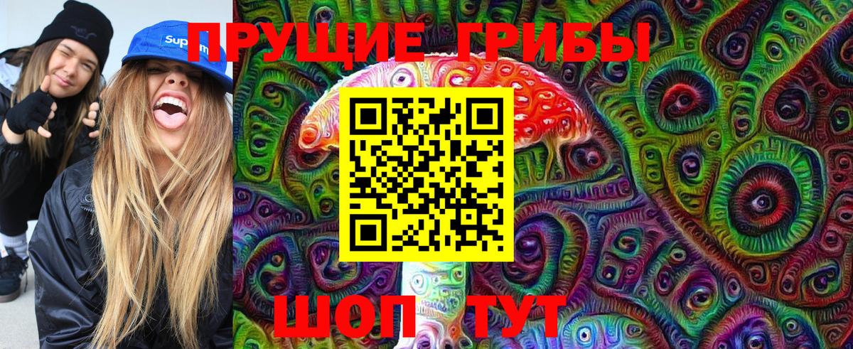 Псилоцибиновые грибы мицелий Лесосибирск