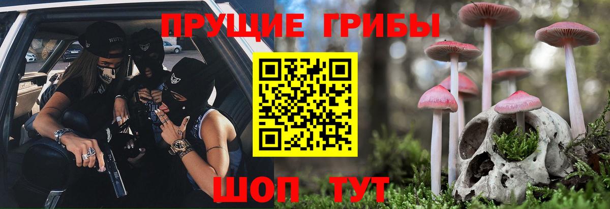  COCAIN Лесосибирск