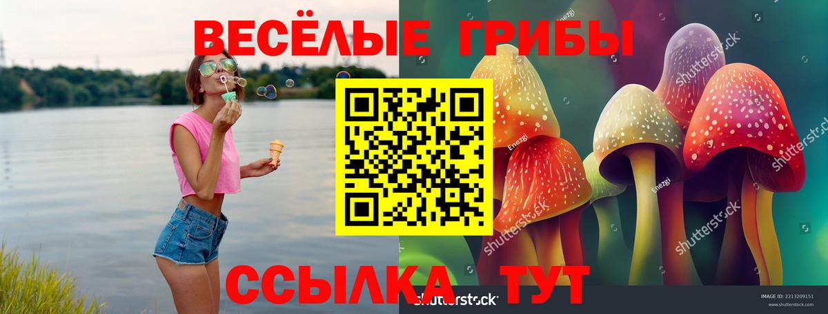Лесосибирск  Псилоцибиновые грибы мухоморы  Вход с VPN  Галлюциногенные грибы Psilocybe 