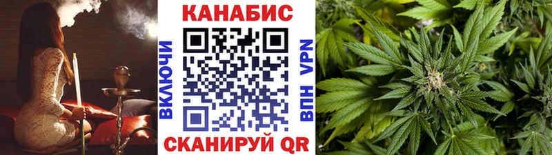купить наркотик  МЕГА рабочий сайт  Канабис SATIVA & INDICA  Лесосибирск 